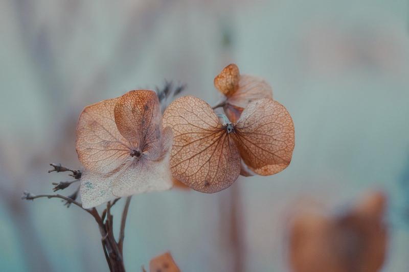 Finding the courage to reach out for support