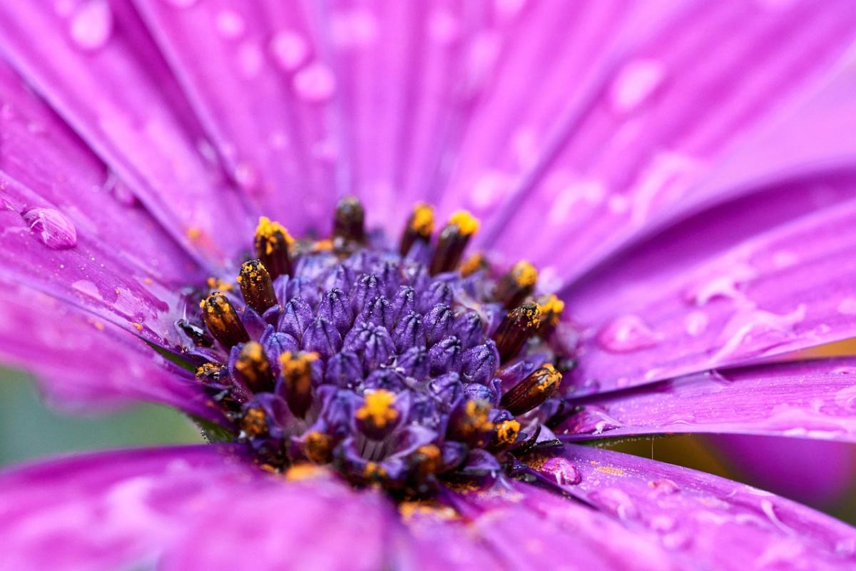 Choosing Your Tribe: How to Cultivate Positive Relationships and Thrive