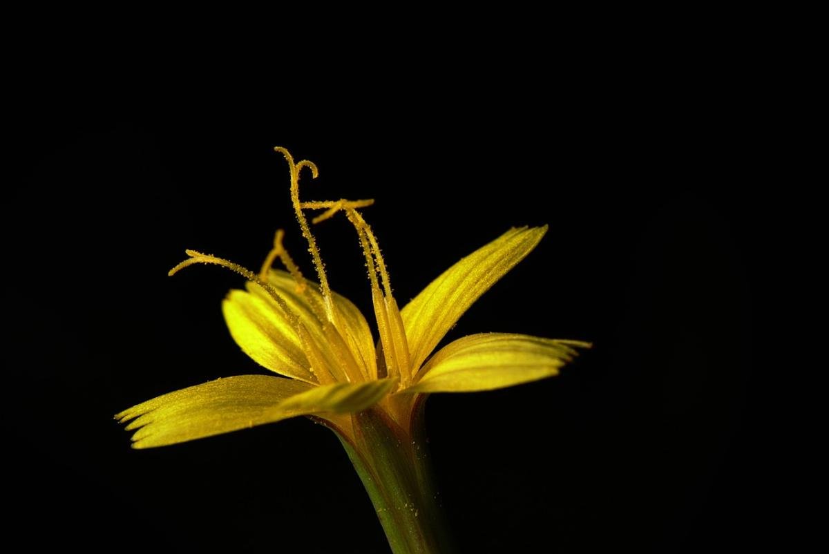 How I Enrich the Lives of Others: Making a Meaningful Impact