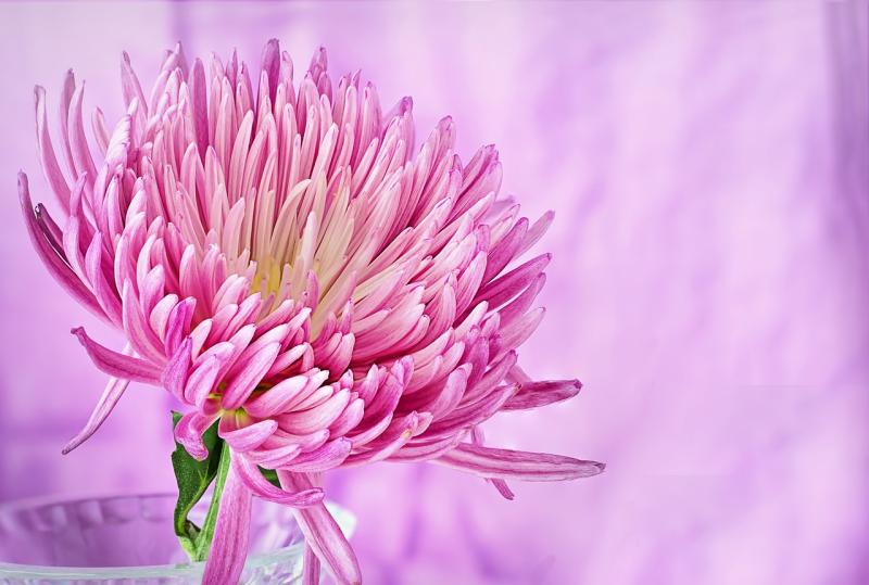 Embracing Feelings with Kindness and Understanding