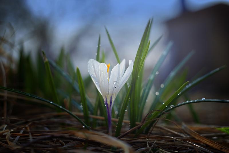 Finding joy and purpose in every step of the journey