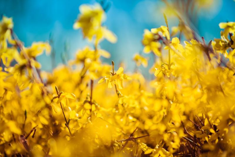 Finding Calm and Freedom in Acceptance