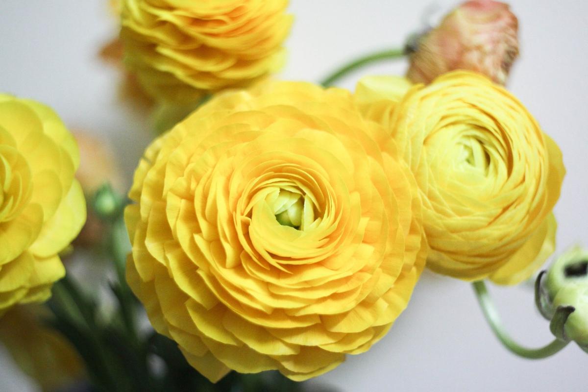 I Inspire Others: How to Ignite the Spark in Those Around You