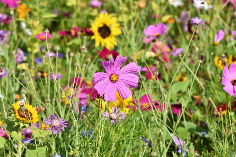 Embrace the power of thankfulness for a more fulfilling life