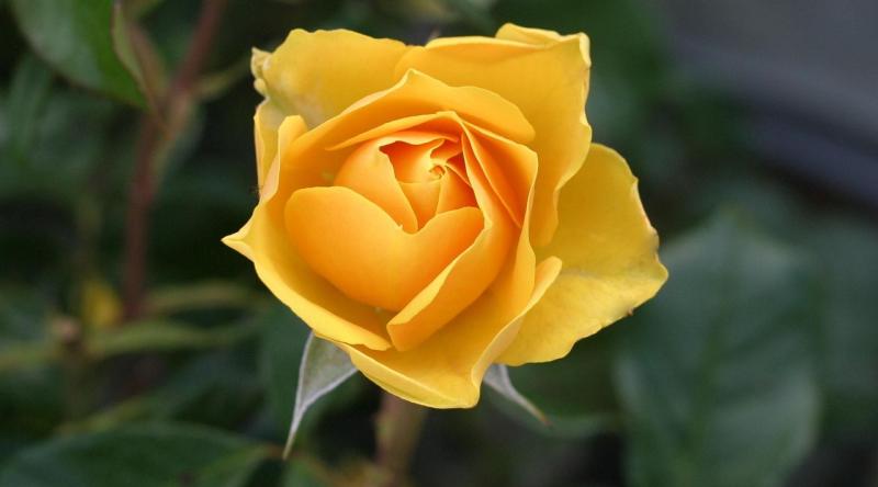 Discover simple ways to uplift those around you and create positive change