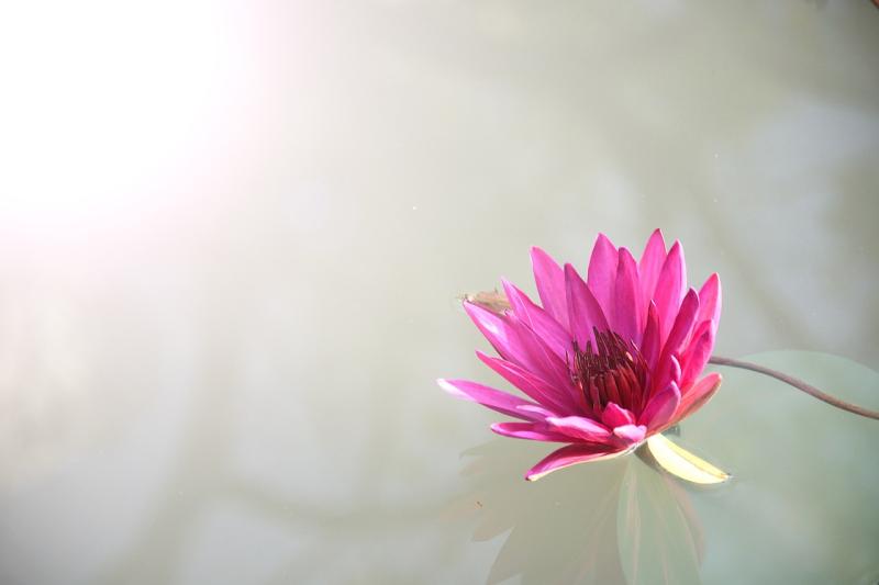 Embracing new experiences and finding strength in every challenge