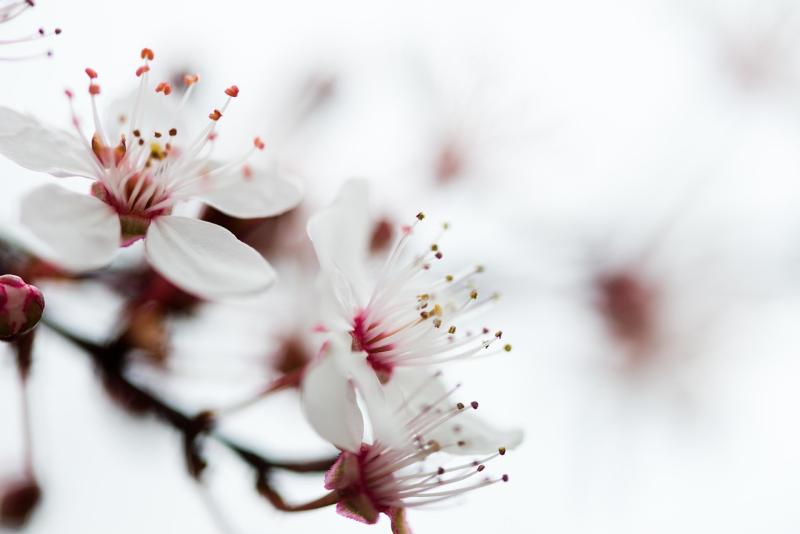 Embracing a more positive and loving mindset