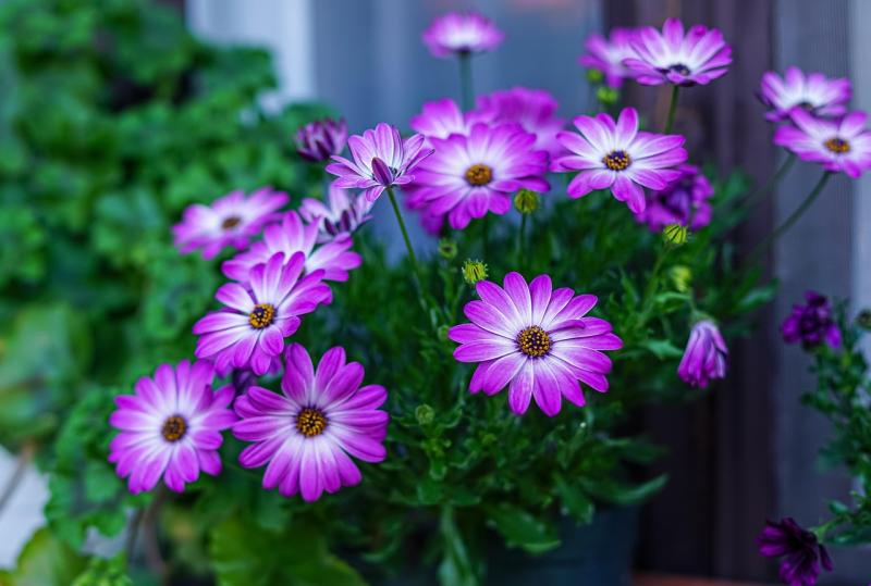 Simple ways to prioritize your wellness every day