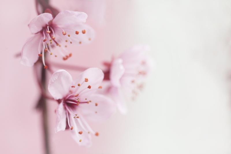 Simple ways to show your love and appreciation every day