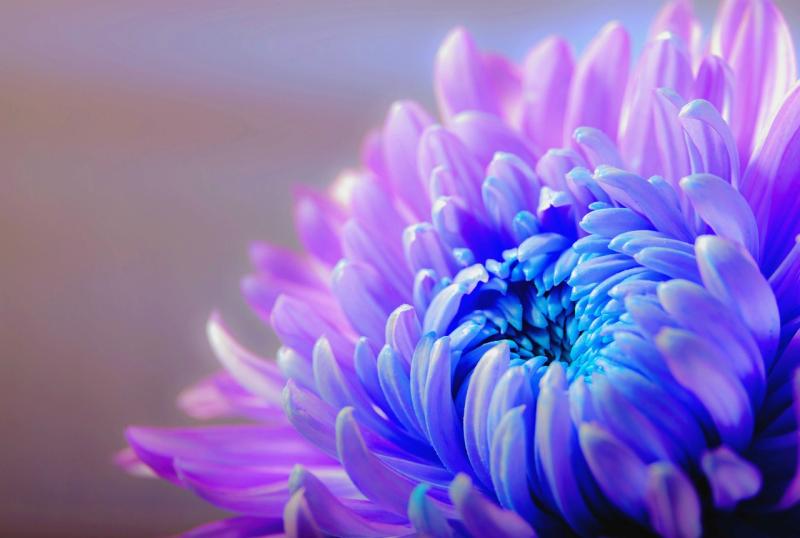Unlock the Secrets to Making Your Dreams a Reality