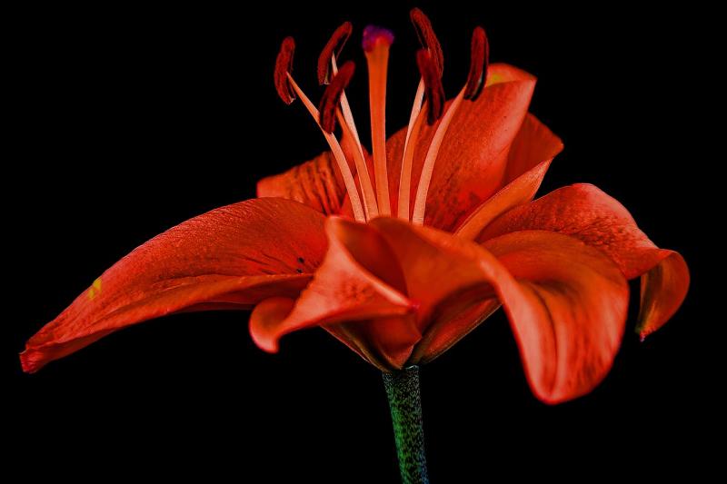 Uncovering inner strength through personal growth and reflection