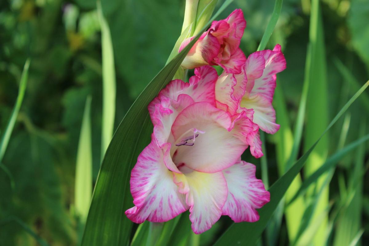 Live Your Truth for Personal Growth and Empowerment
