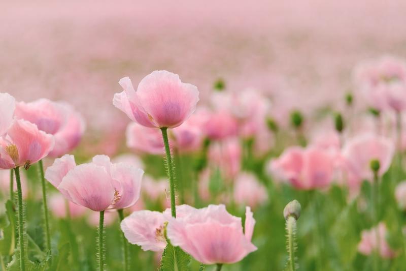 Discover simple steps to boost your confidence and recognize your true value