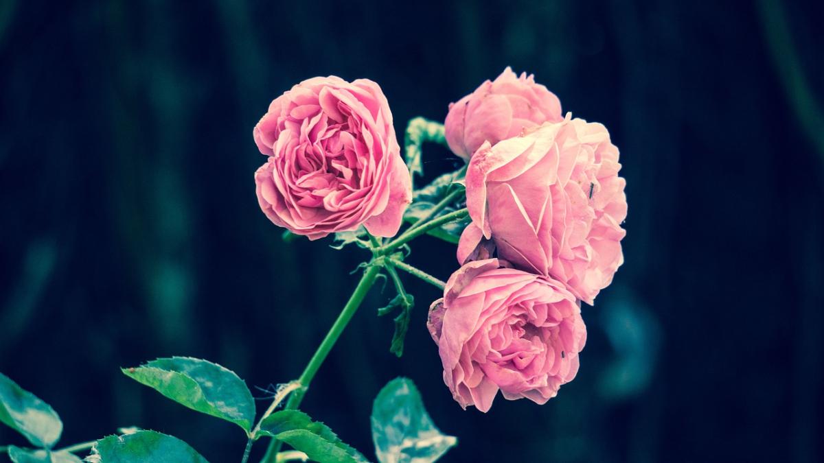 How to Value Yourself: A Practical Guide to Self-Worth