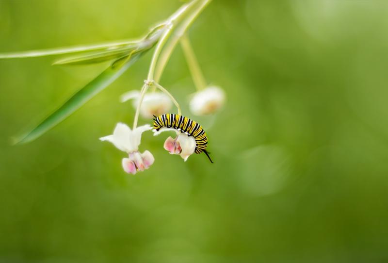 Discover simple ways to nourish your mind, body, and spirit for a happier you