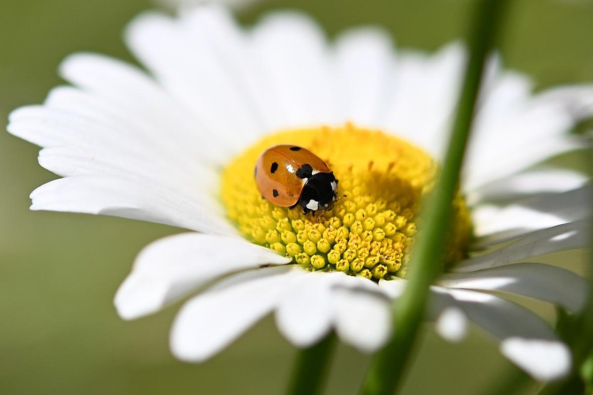 Unlocking the Enigma: Why Your Mind Is Fascinating