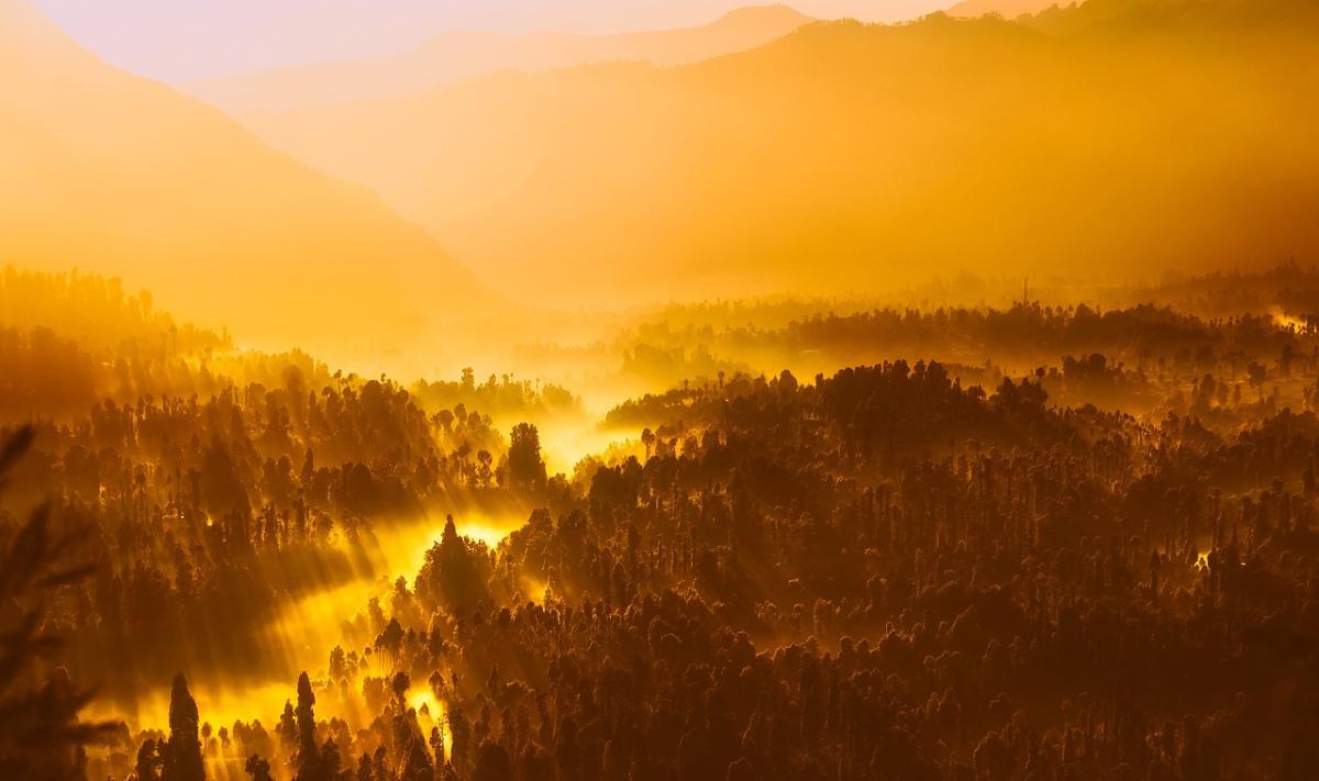 Living in the Now: Why Present Moment Awareness Is Key to Happiness