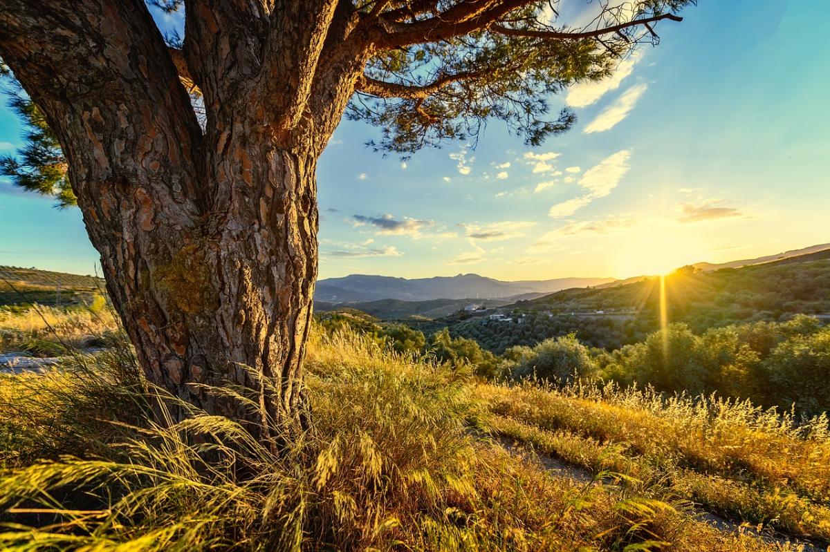 Finding Beauty in Life's Small Moments: A Guide to Everyday Mindfulness