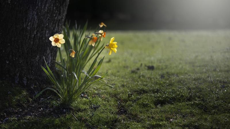 Exploring Our Bonds with Nature and Each Other