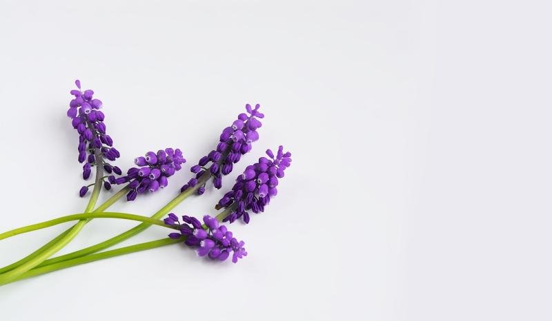 Discovering how gratitude can transform your life and inspire personal growth
