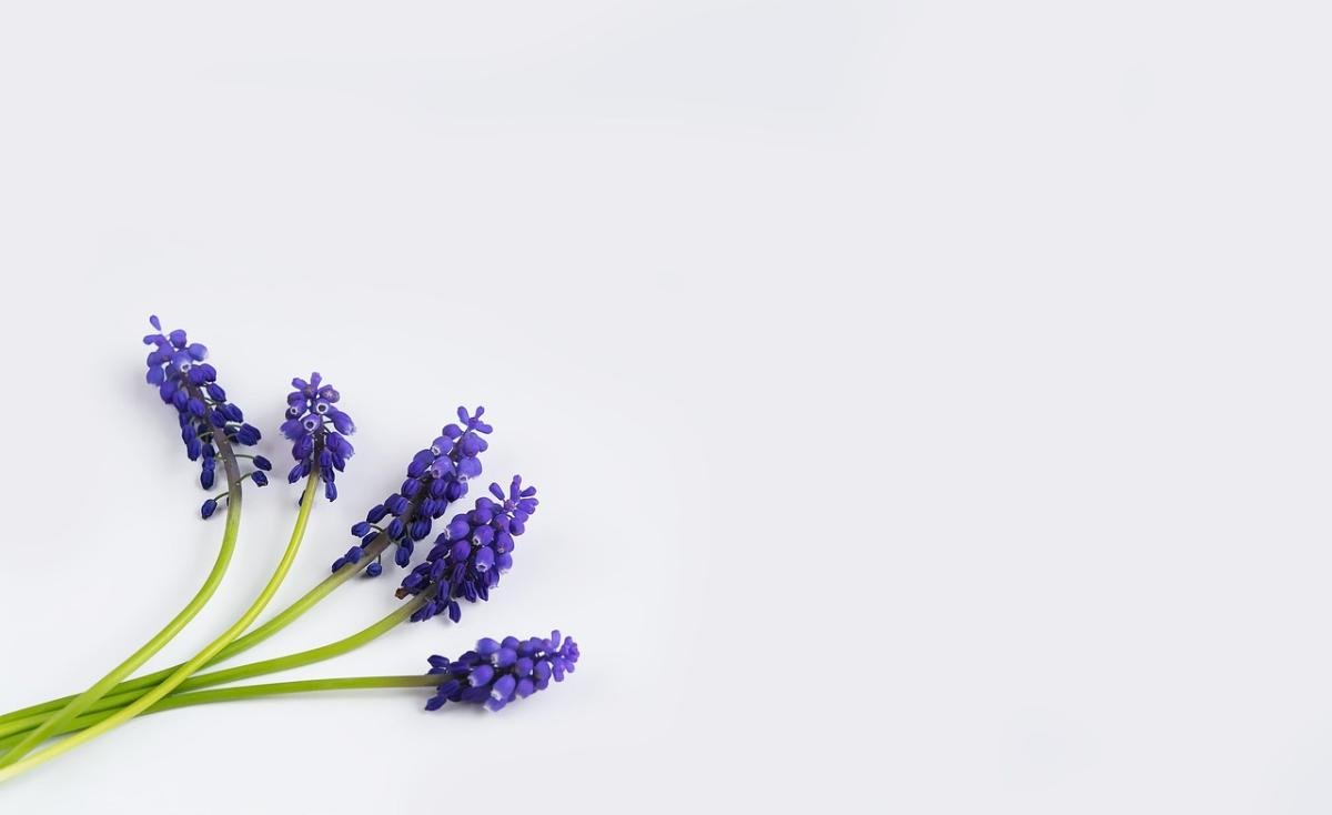 I Am Grateful for Growth: Embracing the Power of Gratitude
