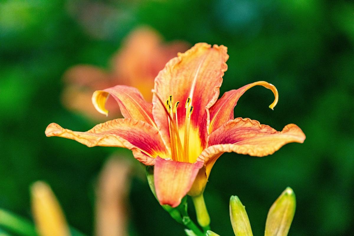 I am intelligent and talented.