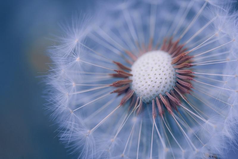 Discover simple ways to tap into your true abilities and achieve your goals