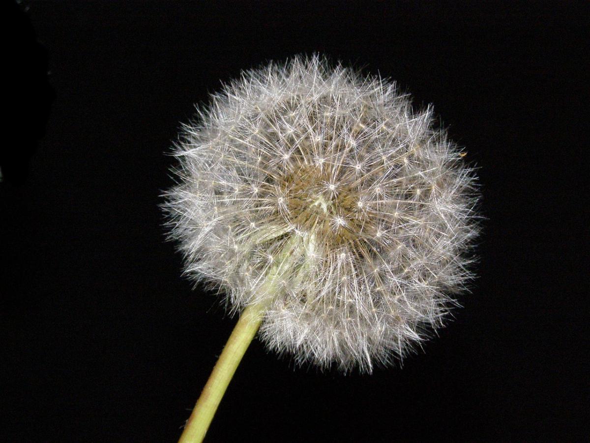 I'm Going to Do My Best: Unleashing Your Potential