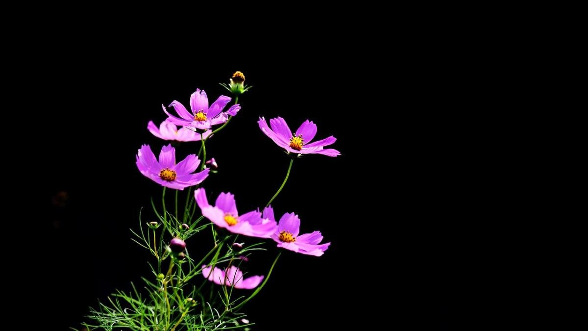 Unlock Your Potential: The Untapped Power of Enough