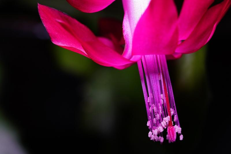 Revitalizing Connections for a Happier Life