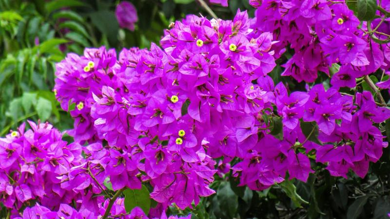 Finding joy and purpose in every moment