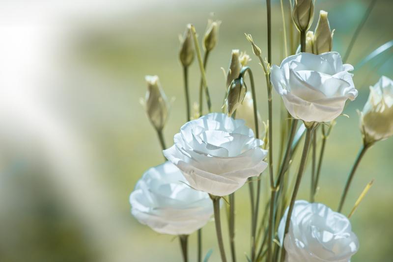 Nurturing Connections for Joy and Growth