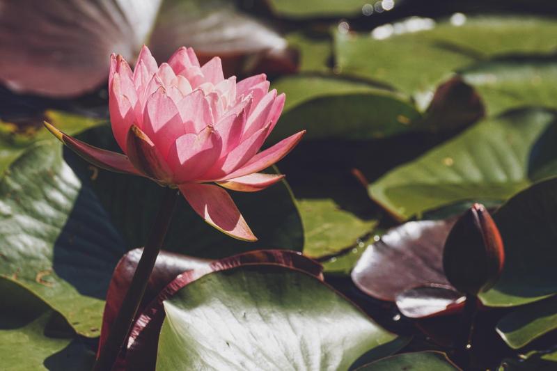 Finding Joy in Everyday Moments