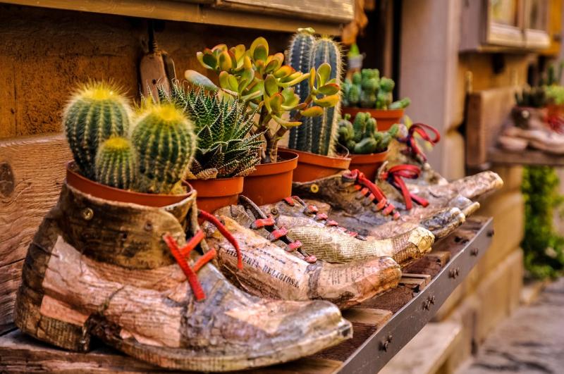 Discover the Joy and Healing Power of the Great Outdoors