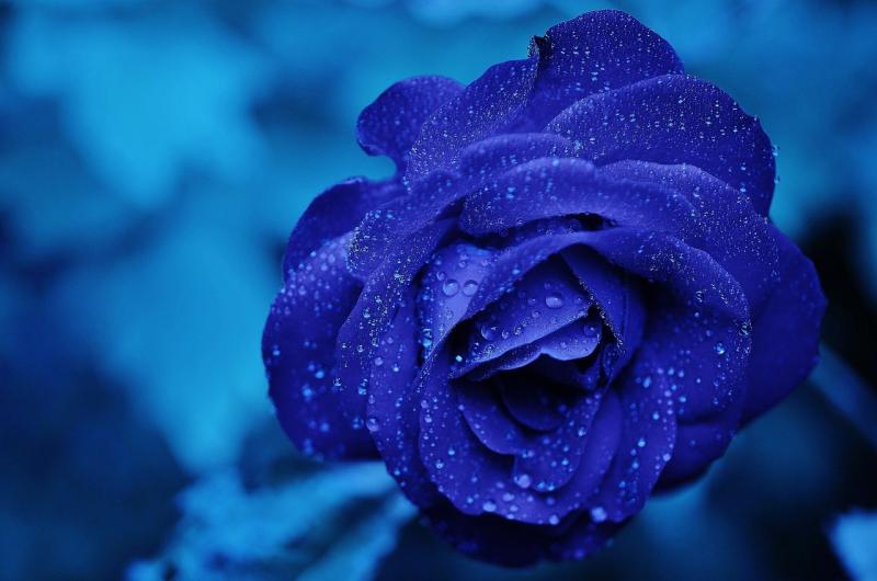 Discover Simple Ways to Nurture Your Inner Riches