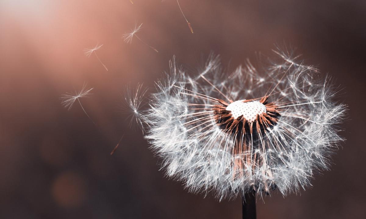 Emotionally Wealthy: How to Cultivate Inner Abundance