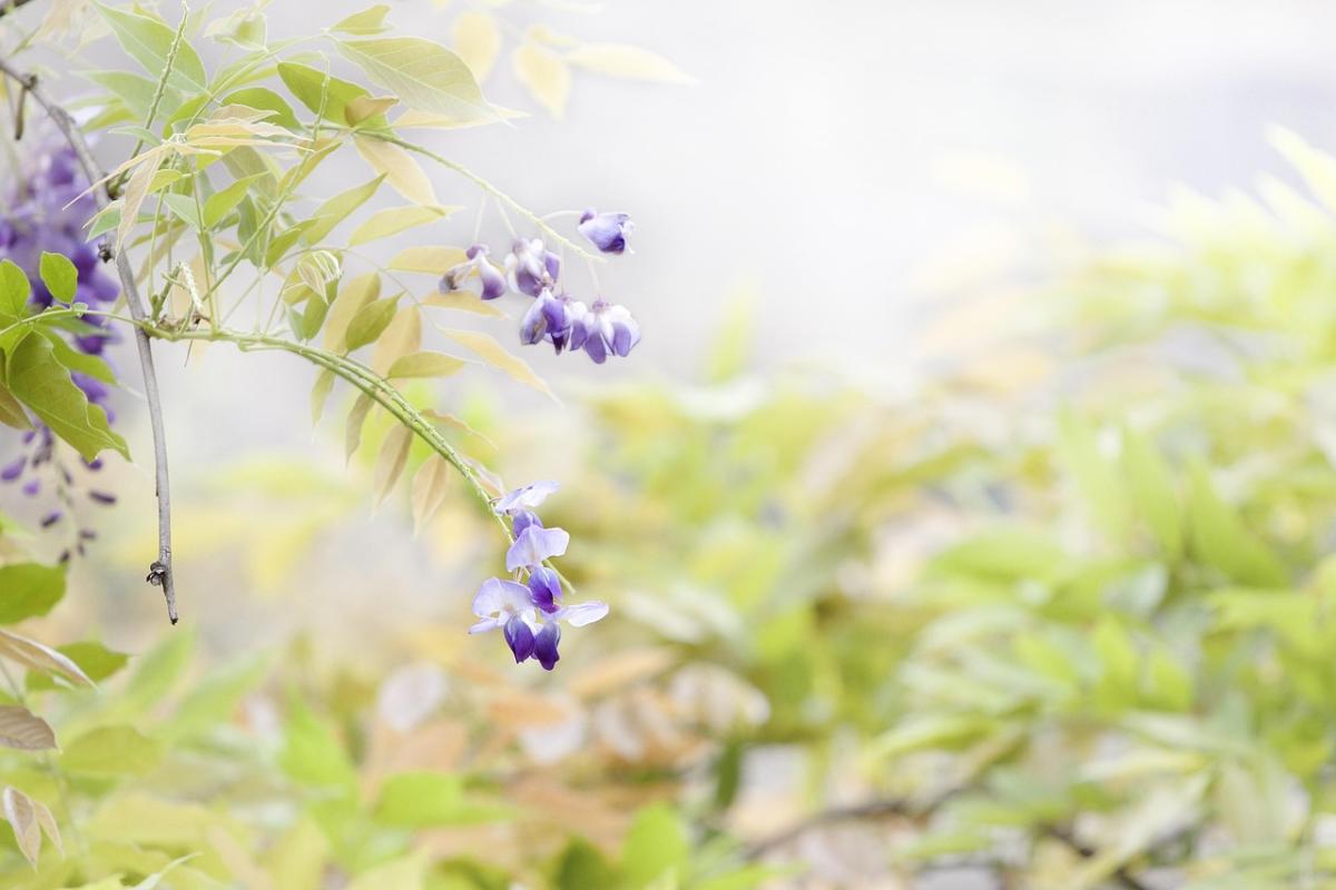 I Am Growing Everyday: A Guide to Personal Development and Continuous Growth