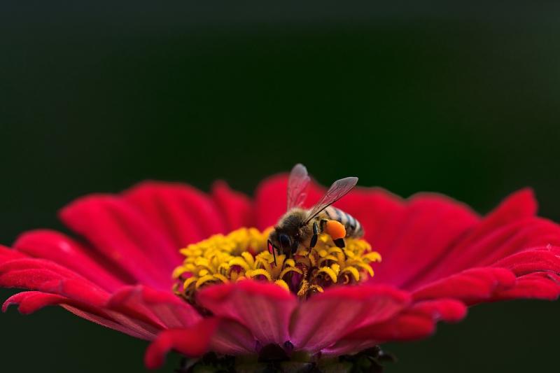Finding Fresh Energy and Purpose in Life
