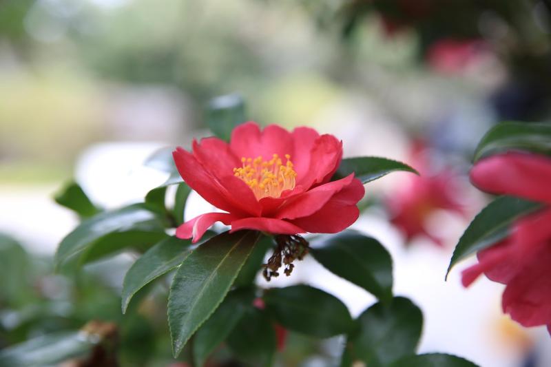 Embracing Fulfillment Through Helping Others