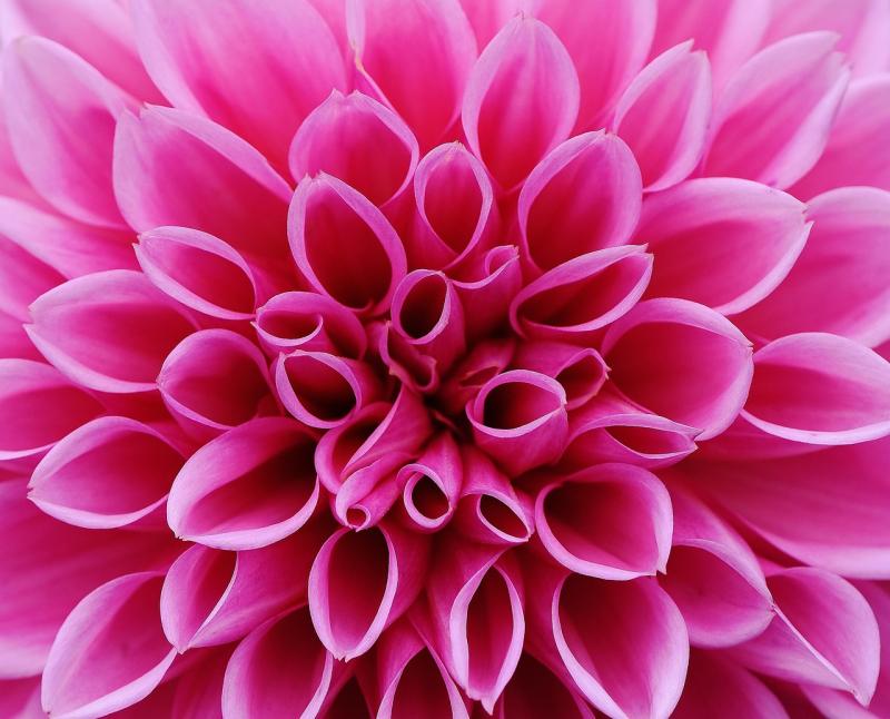 Discover how embracing new opportunities can transform your life
