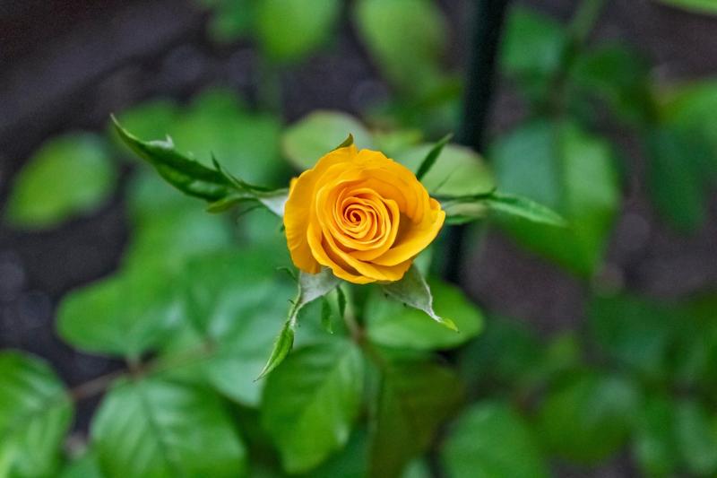 Discover simple steps to ignite your journey of growth and change