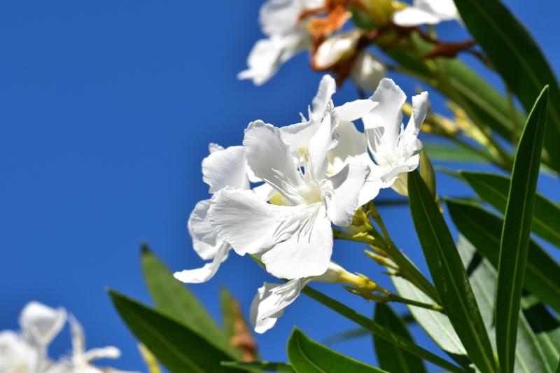 Embracing Each Day as a Fresh Start to Discover Joy and Meaning