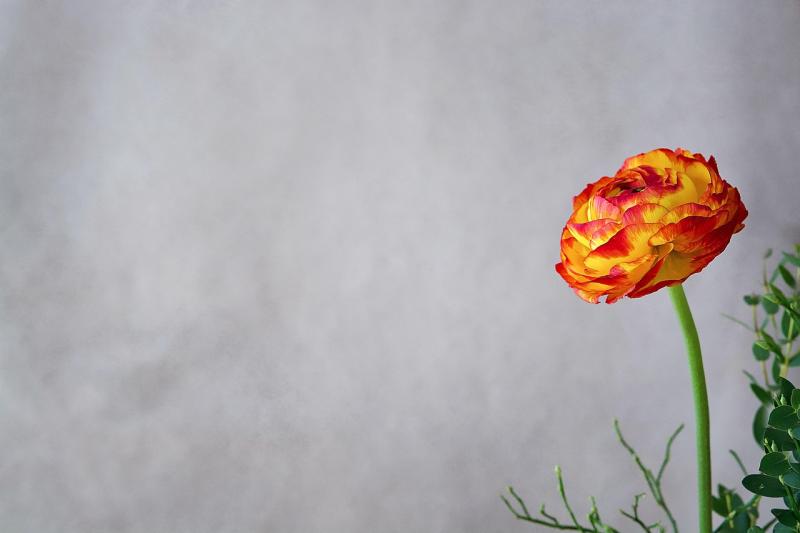 Unlock Your Potential by Challenging Your Inner Critic