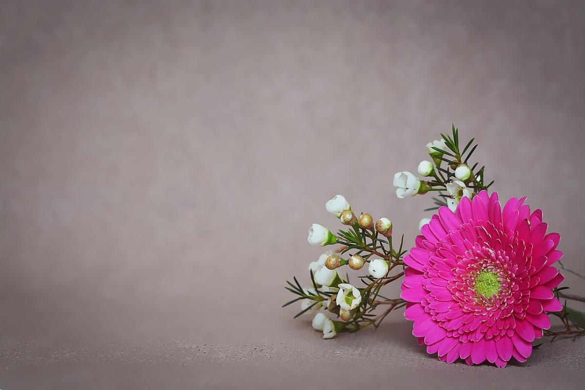 Become Socially Confident by Questioning Your Negative Thoughts