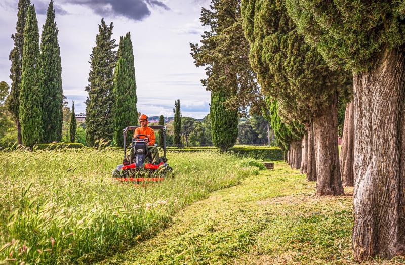 Great Value Mowers That Make Lawn Care a Breeze