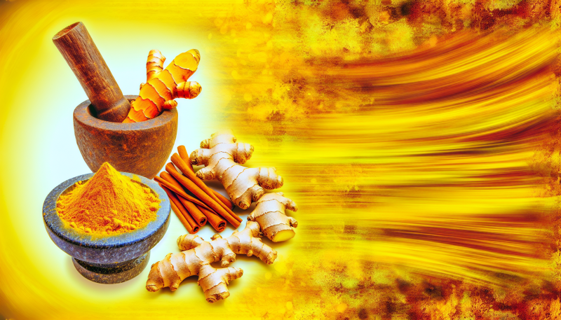 Discover the Power of Nature's Best Ingredients for Your Health