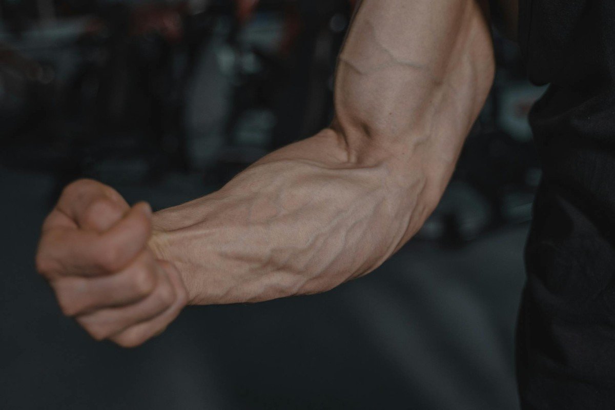 🧬 Science-Backed Tips to Enhance Muscle Vascularity