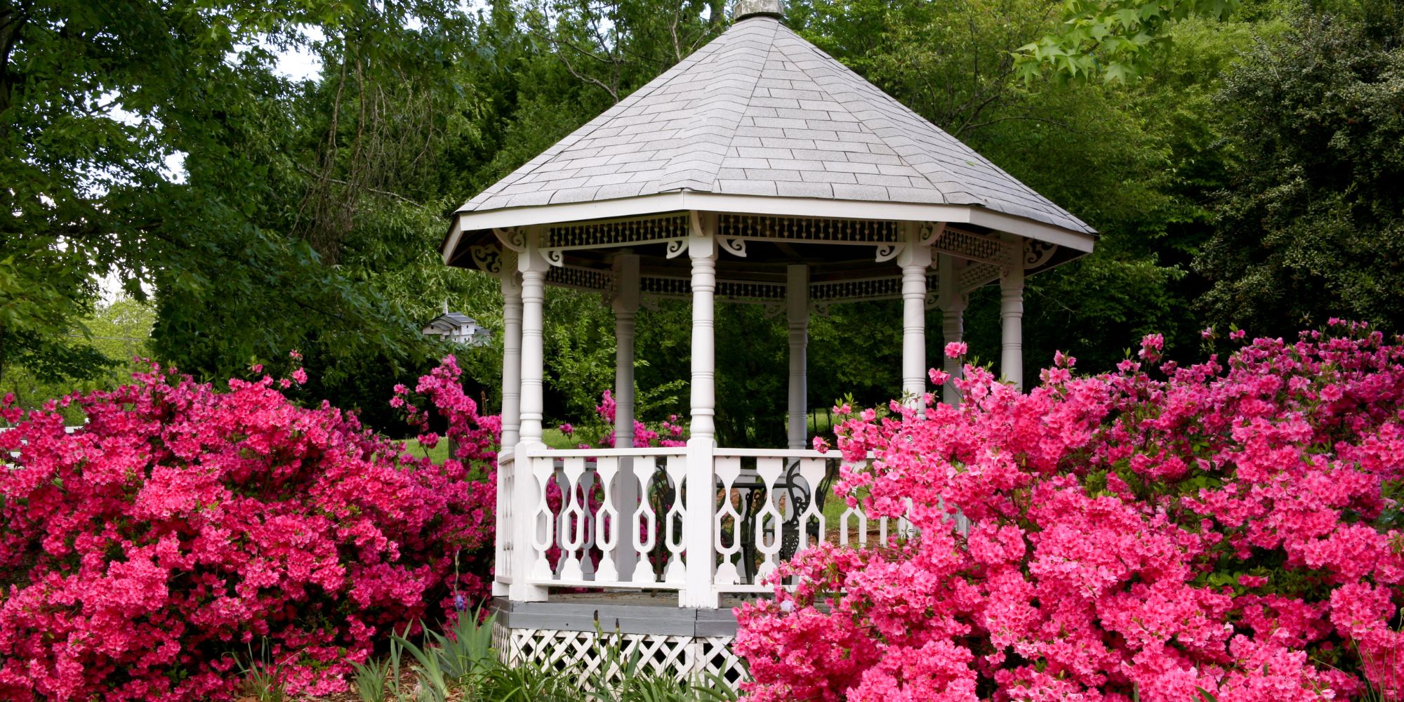 Gazebo