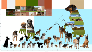 Everything Your Furry Friend Needs to Stay Happy and Healthy