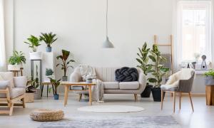 Spruce up your living room with budget friendly tips and tricks